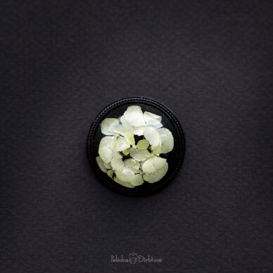 Juodai-Balta sagė su tikromis gėlėmis "Hortenzijos" (37mm)