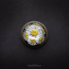 Apvali sagė su tikromis gėlėmis "Saulutės" (37mm)