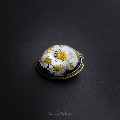 Apvali sagė su tikromis gėlėmis "Saulutės" (37mm) 4