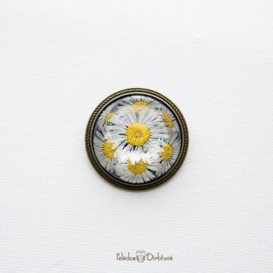 Apvali sagė su tikromis gėlėmis "Saulutės" (37mm) 1