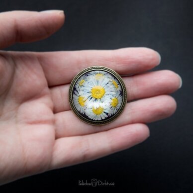 Apvali sagė su tikromis gėlėmis "Saulutės" (37mm) 2