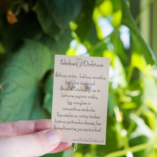 Sidabriniai auskarai su augalais "Šilinis Viržis" (6mm, baltas fonas)